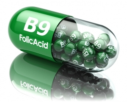 The benefits of folic acid and the body