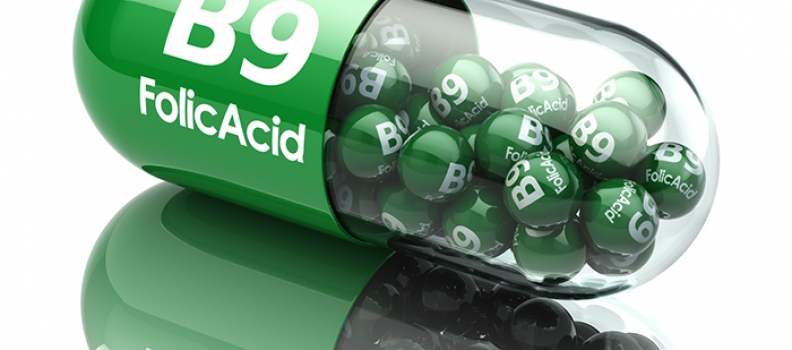 The benefits of folic acid and the body